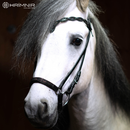 Hrimnir næsebånd, Lava Edition - 22 cm.