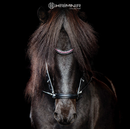 Hrimnir nakkerem, Classic Rosa