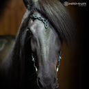 Hrimnir nakkerem, Heritage D - Lava Edition