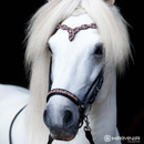 Hrimnir nakkerem, Heritage D - Sunset Rosa