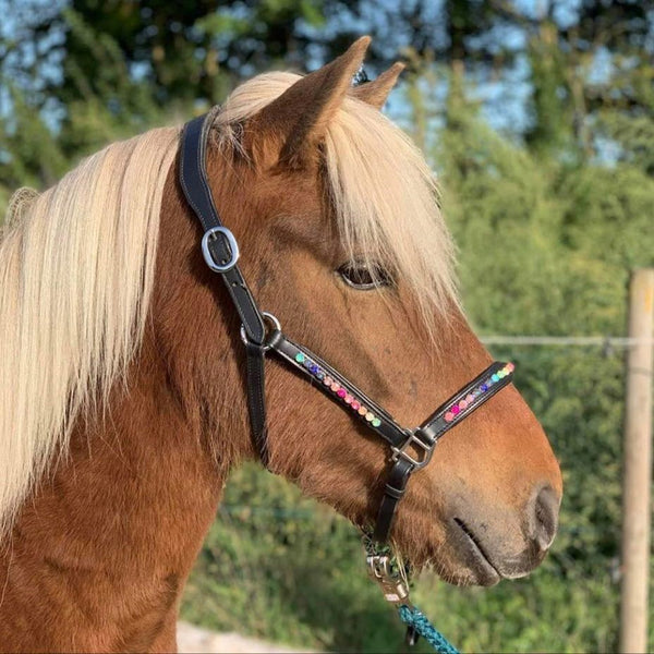 Nordic Horse regnbue lædergrime