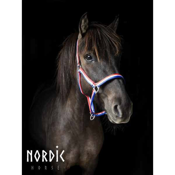Nordic Horse nylongrime, stribet
