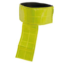 Waldhausen refleks til halen