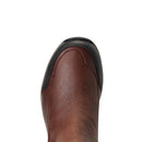 Ariat Womens Terrain Blaze H20 Dark Brown jodhpursstøvler