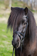 Eques kombineret næsebånd i sort læder