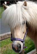 Nordic Horse nylongrime, ternet