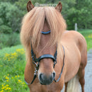 Hrimnir nakkerem, Classic Blue