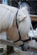 Nordic Horse Holar kapsun