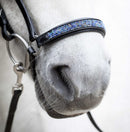 Hrimnir næsebånd, Blue Lagoon - 22 cm.