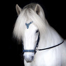 Hrimnir nakkerem, Heritage D - Blue Lagoon