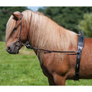 Karlslund longegjord