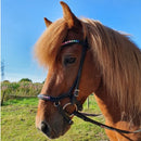 Nordic Horse anatomisk næsebånd, rainbow