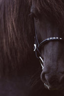 Nordic Horse engelsk næsebånd, hvide sten